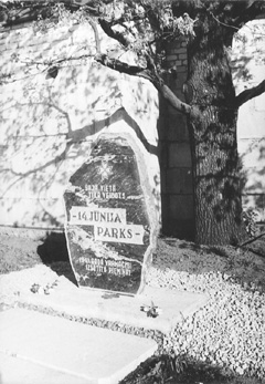 PP1.JPG (44346 BYTES)