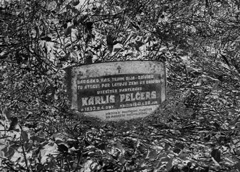 PP3.JPG (29637 BYTES)