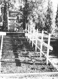 PP6.JPG (54111 BYTES)