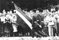 P6.JPG (19941 BYTES)