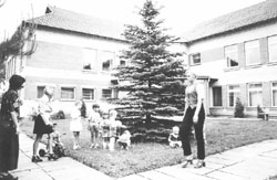 K2.JPG (19030 BYTES)