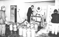 K7.JPG (17046 BYTES)