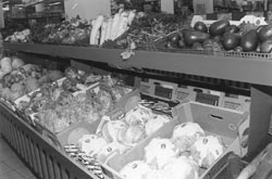 P2.JPG (18253 BYTES)