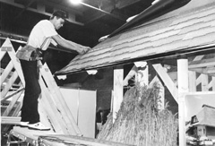 A34.JPG (24898 BYTES)