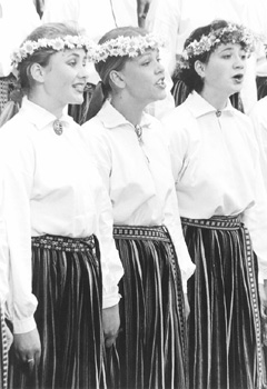 D1.JPG (34912 BYTES)