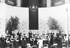 D5.JPG (23566 BYTES)