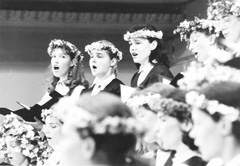 DZ.JPG (21982 BYTES)