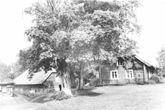 P2.JPG (22906 BYTES)