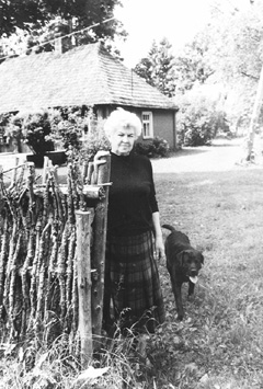 P4.JPG (50307 BYTES)