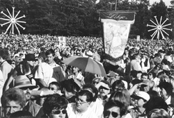 DB1.JPG (33004 BYTES)