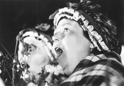 DB14.JPG (23366 BYTES)