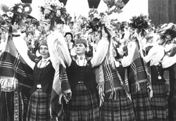 DB15.JPG (30417 BYTES)