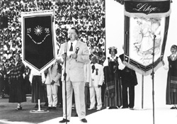 DB3.JPG (29169 BYTES)