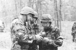 AA.JPG (24197 BYTES)