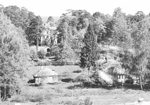 J1.JPG (41320 BYTES)