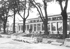 V10.JPG (27949 BYTES)