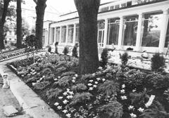 V5.JPG (29568 BYTES)