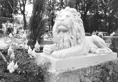 V6.JPG (27942 BYTES)