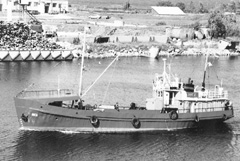 M2.JPG (25018 BYTES)