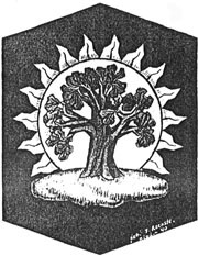 B21.JPG (26217 BYTES)