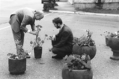 K6.JPG (17404 BYTES)