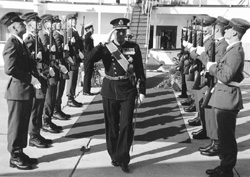 N8.JPG (31778 BYTES)