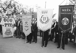 V8.JPG (26424 BYTES)