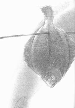 L1.JPG (23432 BYTES)