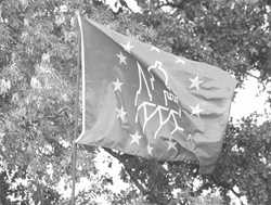 P1.JPG (34199 BYTES)