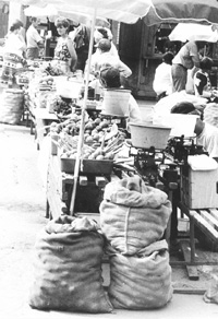 K1.JPG (36555 BYTES)