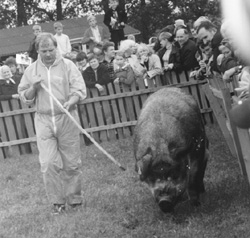 V14.JPG (34561 BYTES)