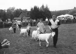 V19.JPG (25044 BYTES)