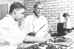 V27.JPG (23967 BYTES)