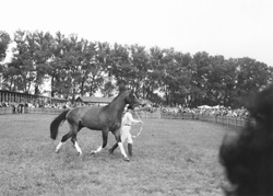 V6.JPG (22975 BYTES)