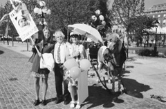 E1.JPG (27420 BYTES)