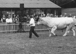 D1.JPG (25484 BYTES)