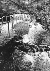 G1.JPG (41218 BYTES)