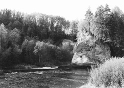 G7.JPG (24519 BYTES)