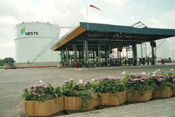 NESTE3.JPG (26799 BYTES)