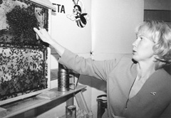 V8.JPG (21035 BYTES)