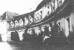 K9.JPG (23285 BYTES)