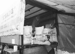 M3.JPG (20749 BYTES)