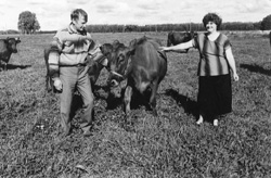 S1.JPG (27193 BYTES)