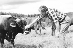 T5.JPG (22853 BYTES)