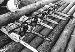 R5.JPG (31987 BYTES)