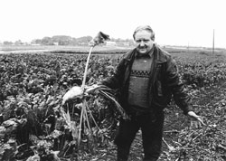 A4.JPG (20080 BYTES)