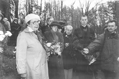 JA7.JPG (23091 BYTES)