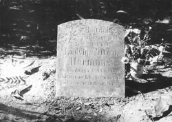 K5.JPG (20381 BYTES)