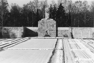 L3.JPG (31716 BYTES)