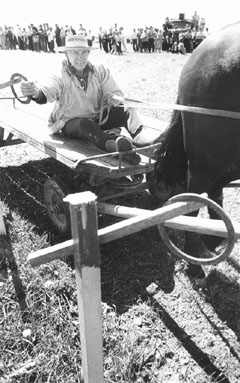 D4.JPG (36235 BYTES)